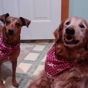 Meet your Posher, Gene